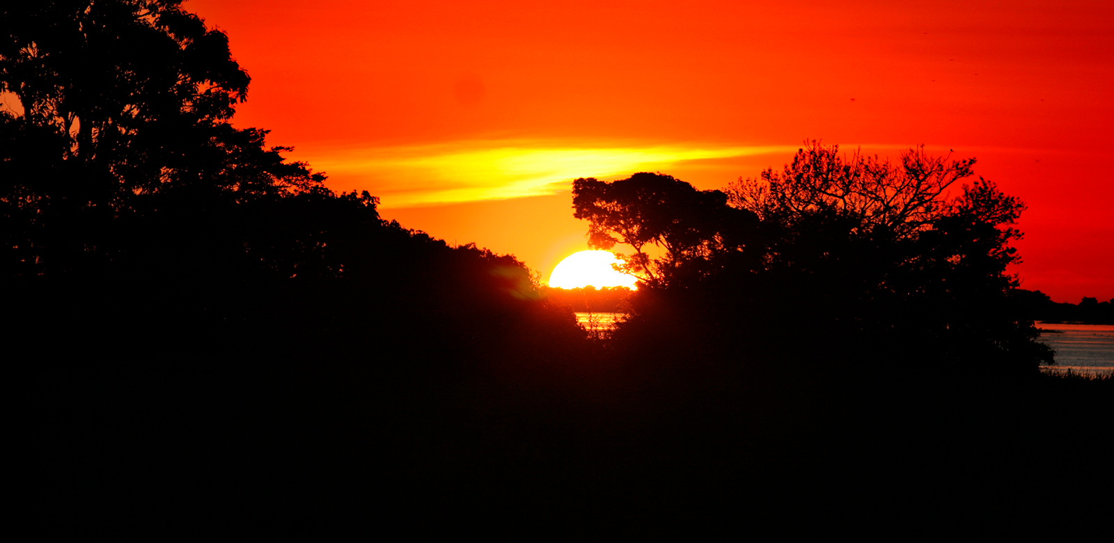 Atarceder en la selva amazónica