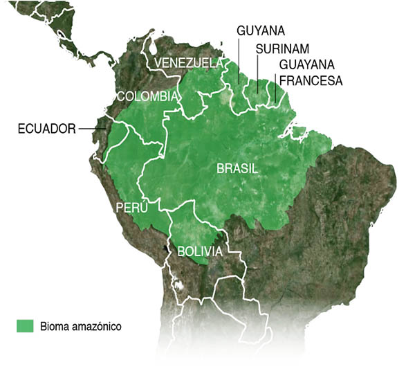 PRESENCIA DE LAS MISIONERAS TERESITAS EN LA AMAZONIA PRESENCIA DE LAS MISIONERAS TERESITAS EN LA AMAZONIA