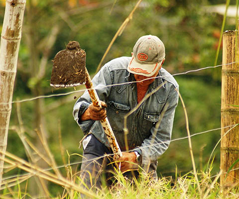 Pastoral Parroquial